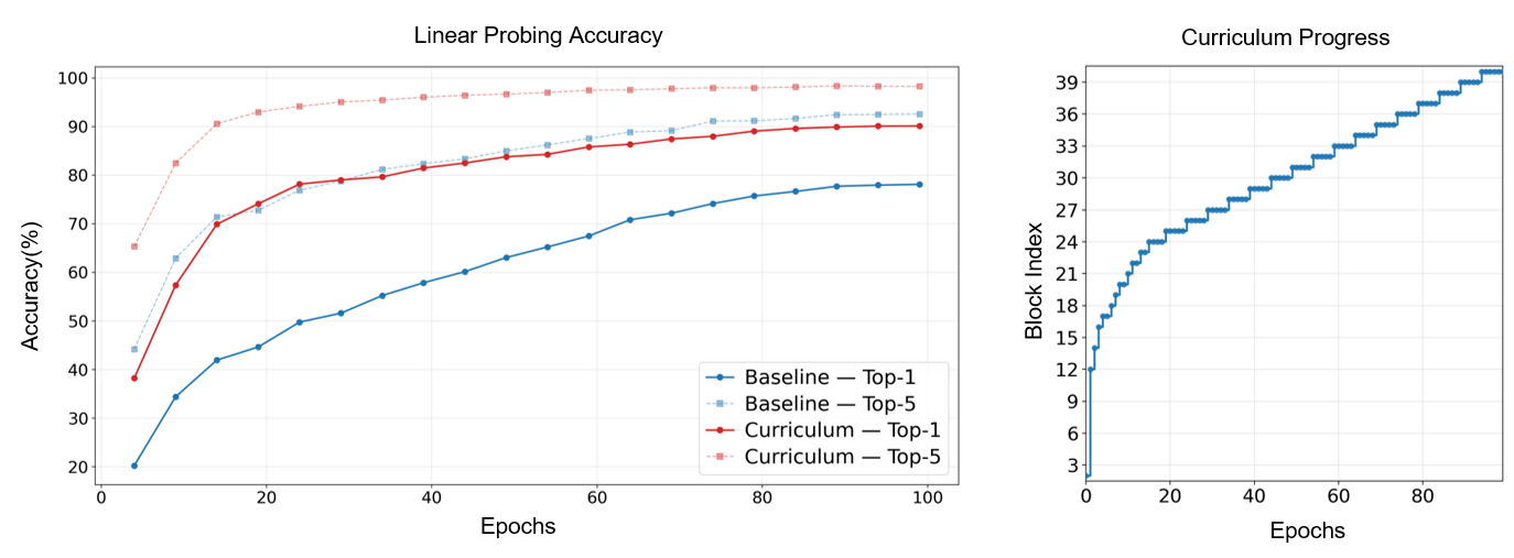 Left: linear-probing accuracy of LEAP vs. baseline over training epochs. Right: visualization of the curriculum's progress through teacher blocks.