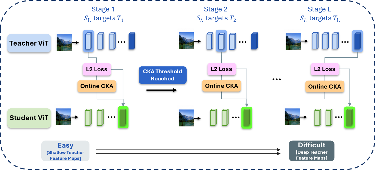 LEAP curriculum overview figure.